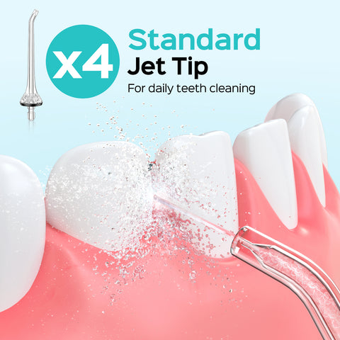 COSLUS (CX30) Water Dental Flosser Replacement Tips img