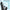 COSLUS C51 Retractable-Tip Cordless Water Flosser